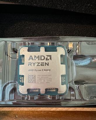 AMD Ryzen 5 9600X