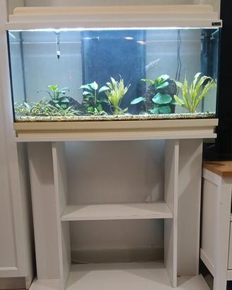 Acquario Aquatlantis 90litri