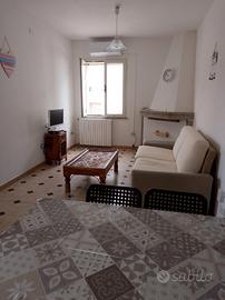 Trilocale climatizzato con giardino