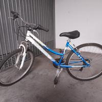bici city bike 