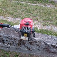 Decespugliatore