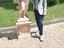 Immagine 1