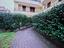Immagine 17