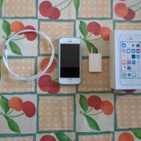 iPhone 5s con accessori