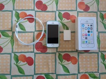 iPhone 5s con accessori