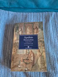 Le Metamorfosi di Apuleio ( l'asino d'oro)