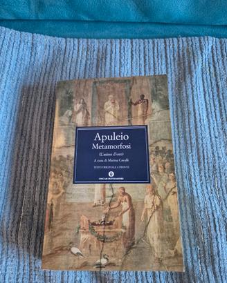 Le Metamorfosi di Apuleio ( l'asino d'oro)
