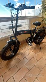 Bicicletta elettrica