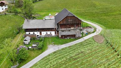 Maso recintato pieno di libertà, pace e potenziale