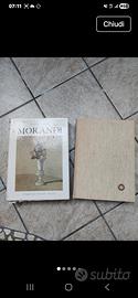Monografia "Giorgio Morandi pittore"