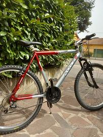 Bicicletta Mountain bike
