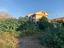 Immagine 9