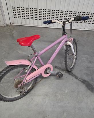 bicicletta bambina/o