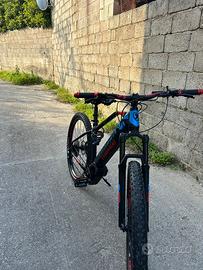 Bicicletta elettrica torpado