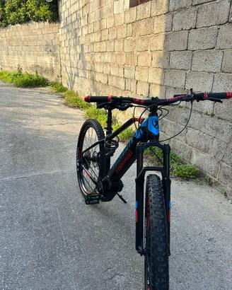 Bicicletta elettrica torpado