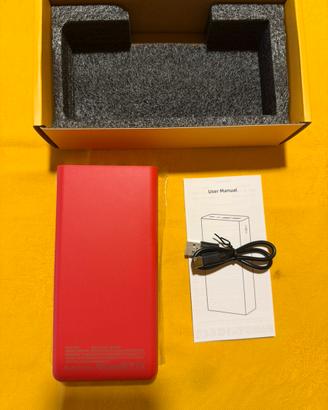 PowerBank Professionale
