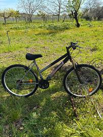 Bicicletta