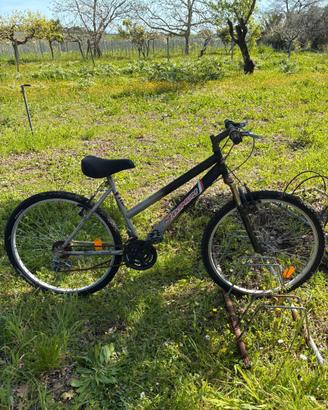 Bicicletta