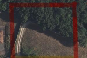 Terreno agricolo con bosco