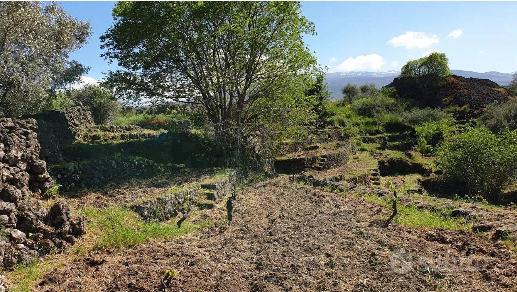 Terreno - Castiglione di Sicilia - Vista 5