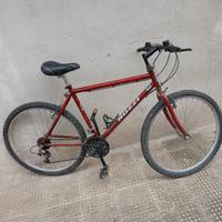  bici MTB Nuzzi 