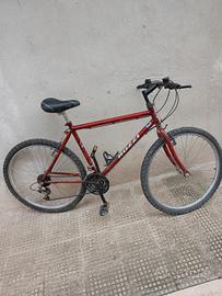 bici MTB Nuzzi 