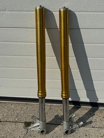 Forcelle anteriori sachs