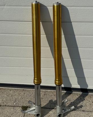 Forcelle anteriori sachs