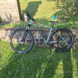 Bici mountanbike Carbonio