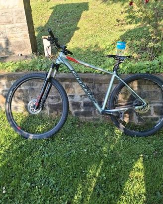 Bici mountanbike Carbonio