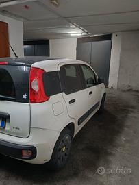 panda 1.2 yang