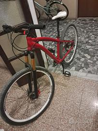 bicicletta 