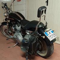 Harley 883c xl
