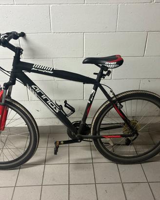 Mtb Arinos