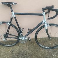 Bici corsa liotto freccia 63*61