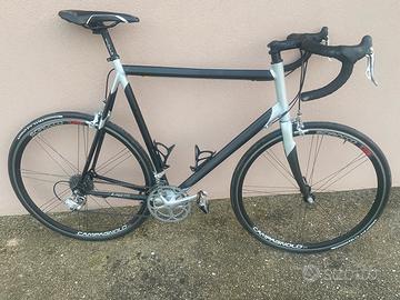 Bici corsa liotto freccia 63*61