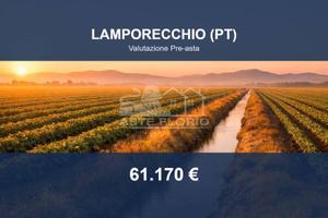 Immobile in asta di 33790 m² a Lamporecchio