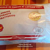 Guanciale in lattice 