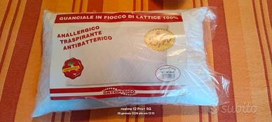 Guanciale in lattice 