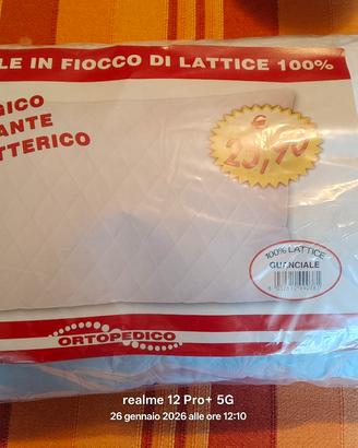 Guanciale in lattice 