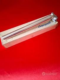 Reggisella campagnolo 