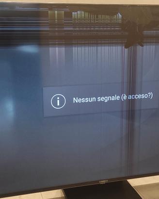 Televisore 55" TCL pannello rotto