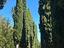 Immagine 13