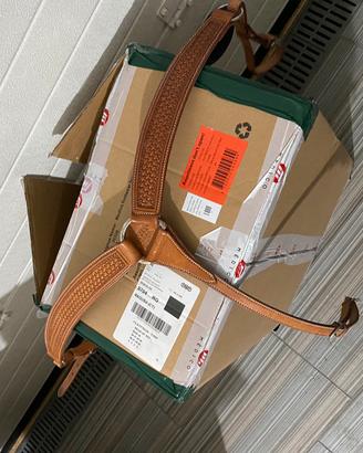 Billy cook pettorale