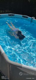 piscina fuori terra