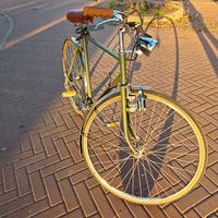 Bicicletta uomo 28