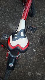 Bici da 16