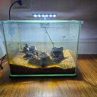 Acquario con sabbia Legno e luce 