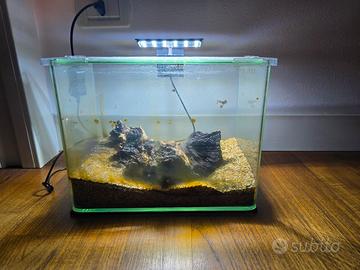 Acquario con sabbia Legno e luce 