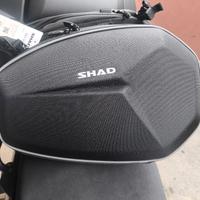 borse semirigide shad